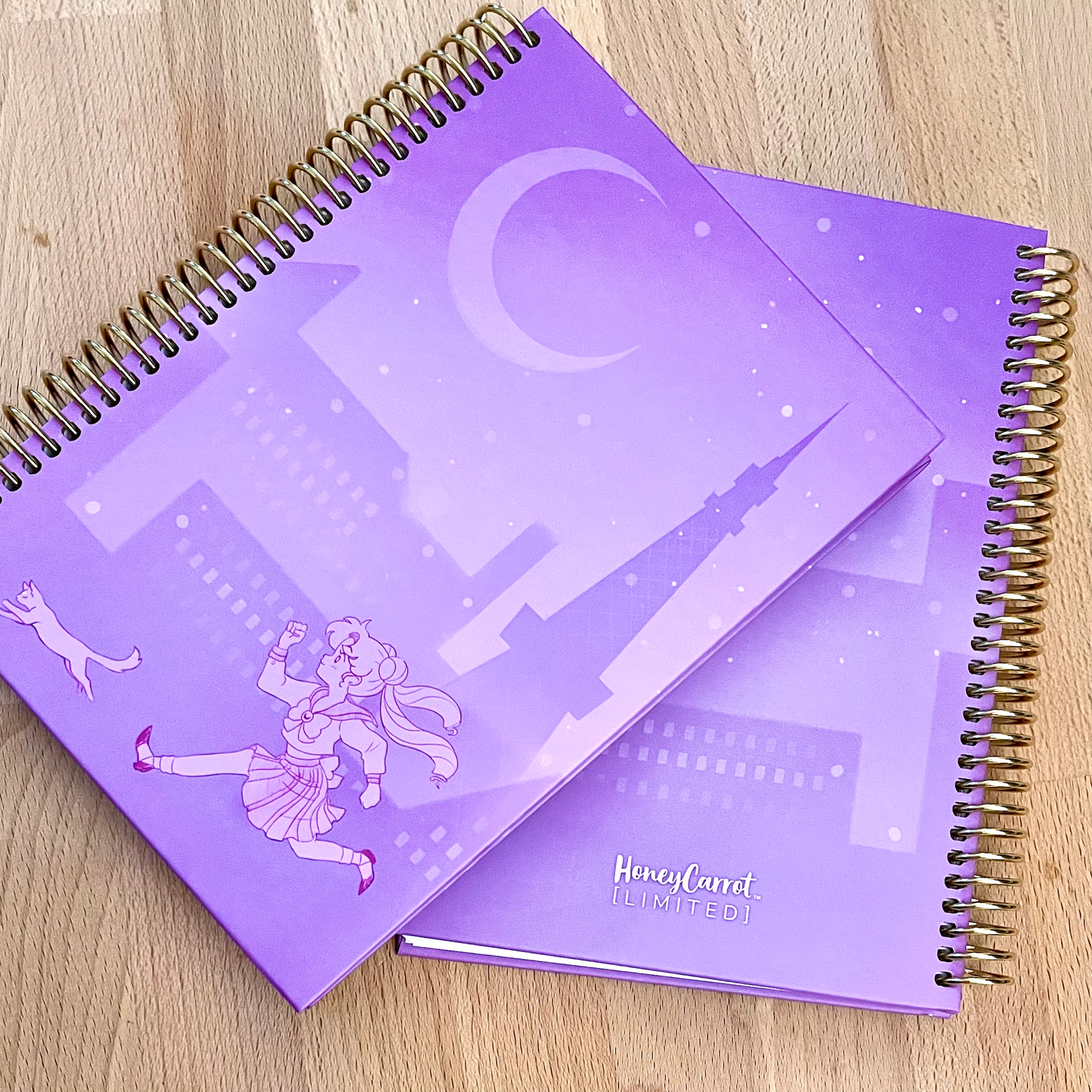 Hardcover Sticker Book: Meatball Head